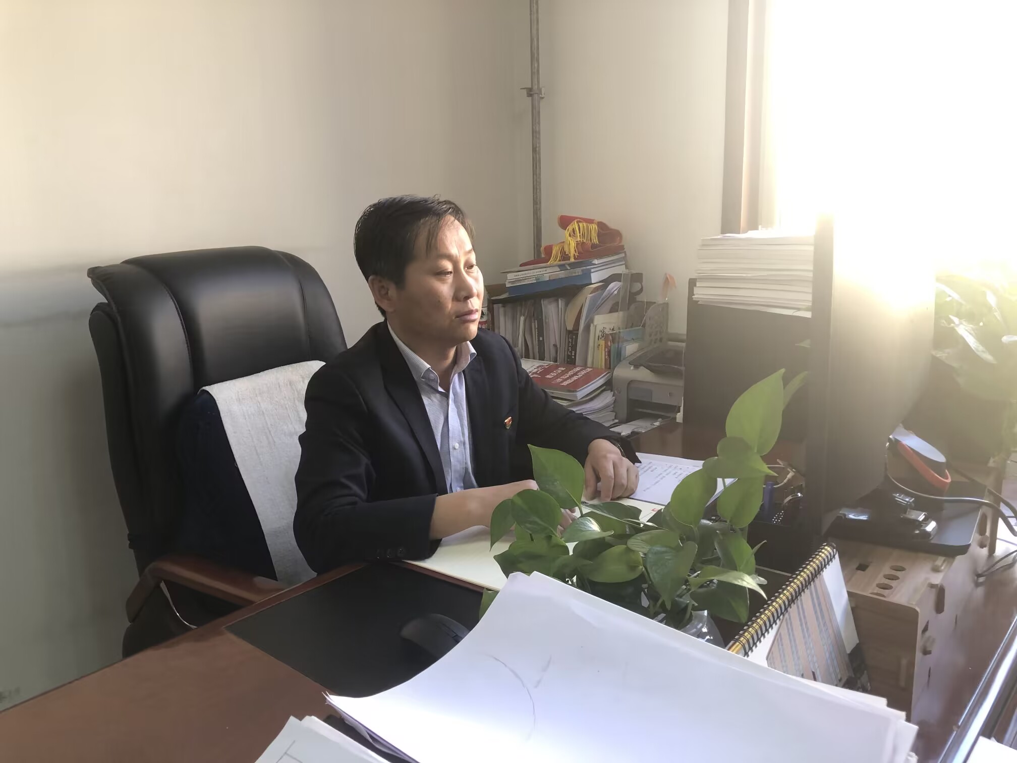 杨帆工作照.png